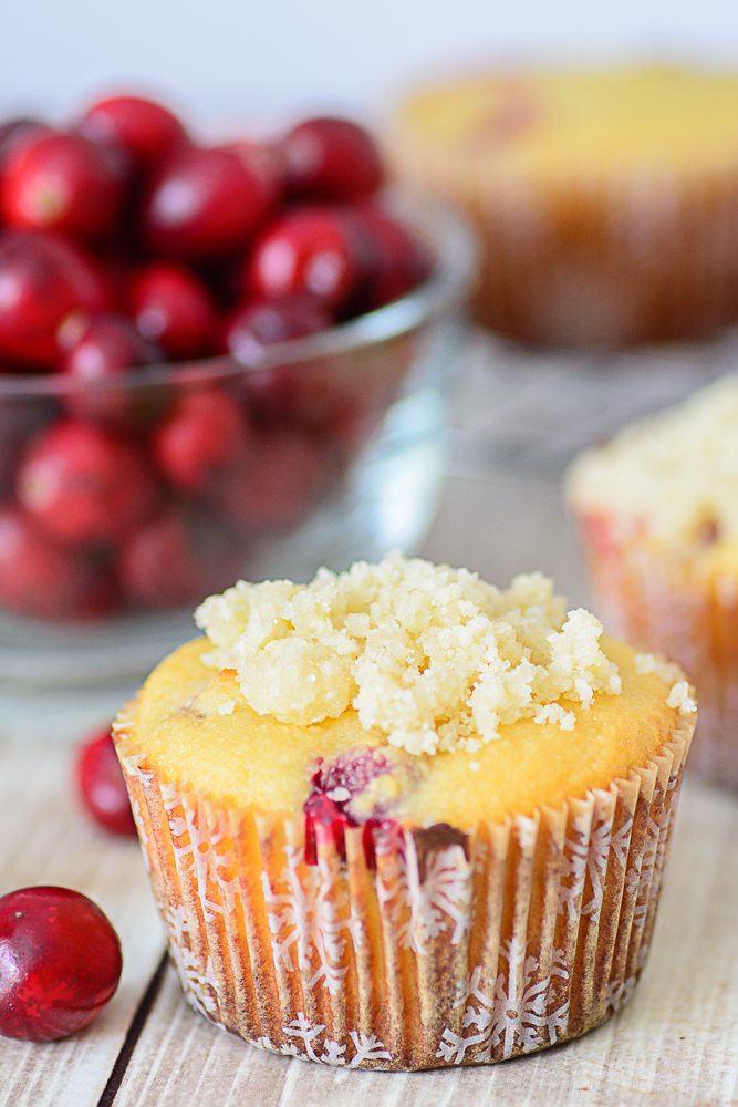 Gluten Free Orange Cranberry Muffins
