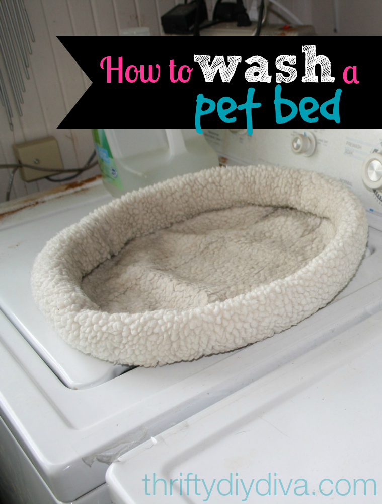 How To Wash And Clean A Pet Bed