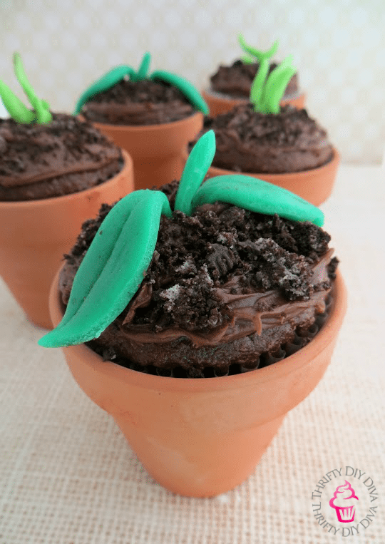 Chocolate Sprout Earth Day Spring Cupcakes Recipe