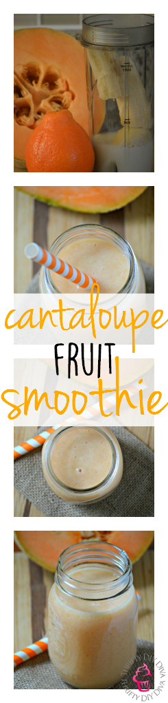 Cantaloupe Fruit Smoothie
