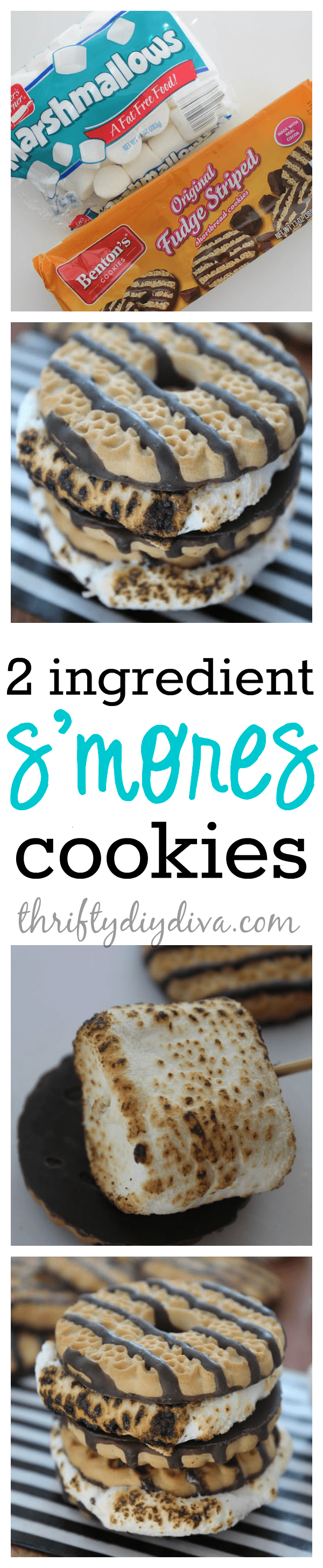 2 Ingredient S'mores Cookies Recipe