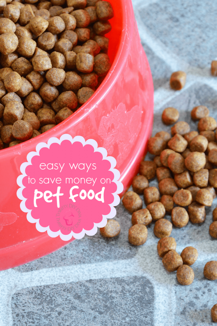 5 Ways to Save Money on Pet Food