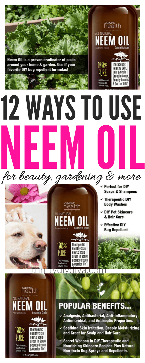 Ways to Use Neem Oil