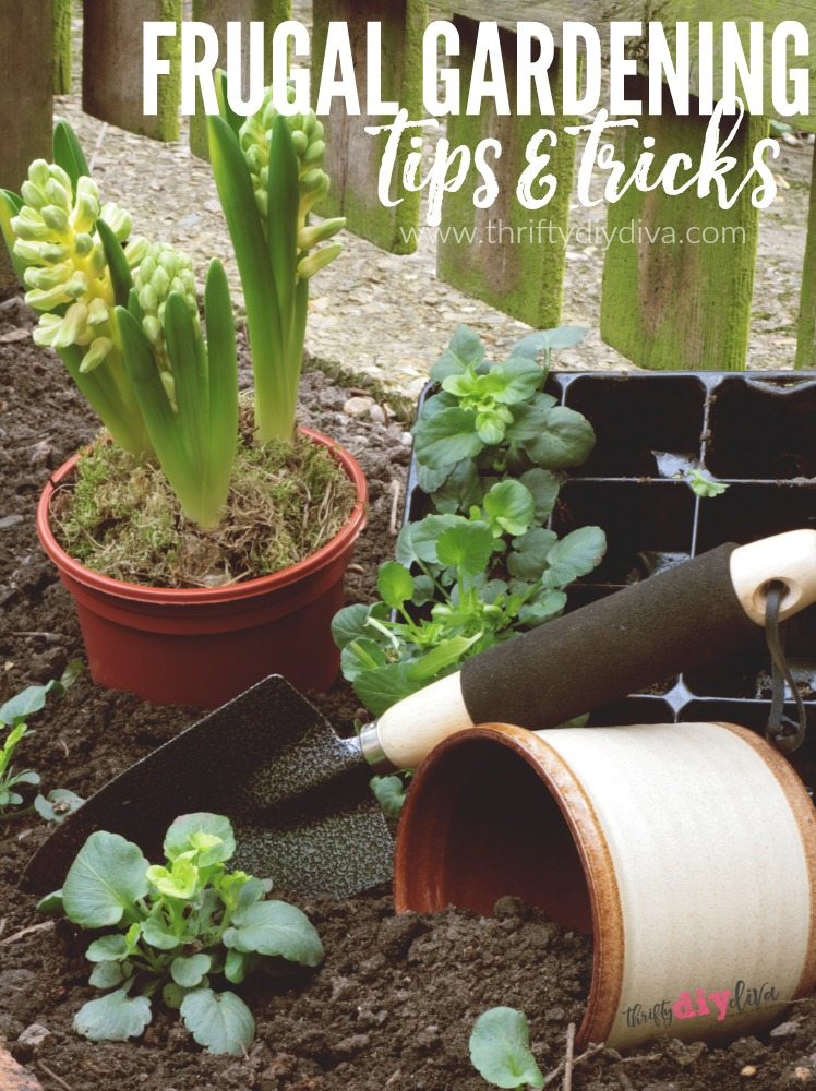 5 Free And Cheap Gardening Supplies
